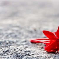 Портфолио Yuvraj